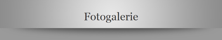 Fotogalerie